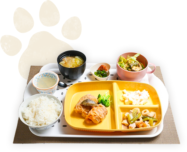日替わりランチ